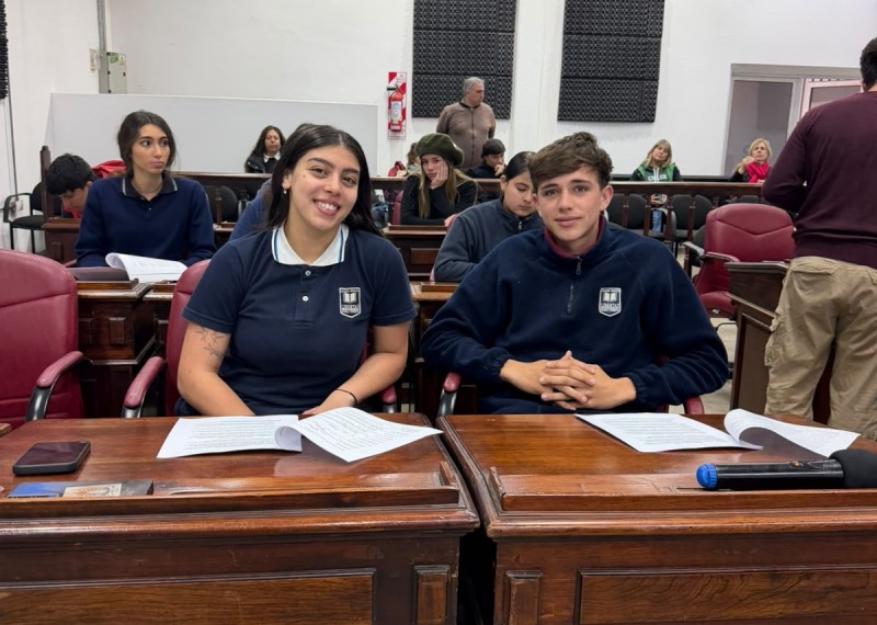 Un proyecto del Colegio Libertas fue aprobado por el HCDE